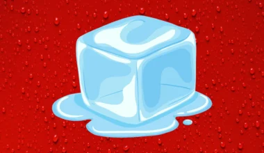 Apple, ICEBlock Uygulamasının Kaldırılması Nedeniyle İnceleme Altında