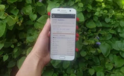 GitHub çöktü mü? Webhooks, Actions ve Pages Hizmetlerinde Sorun Var