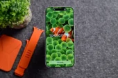 iOS 27.2 Beta 4 Yayınlandı: İşte Yenilikler