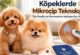 Köpeklerde Mikroçip Teknolojisi: Toy Poodle ve Pomeranian Sahipleri İçin Rehber