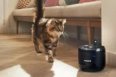 Philips Pet Serisi Alışverişleri Engelli Hayvanlar İçin Desteğe Dönüşüyor