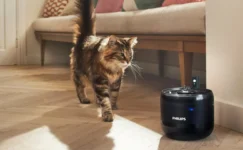 Philips Pet Serisi Alışverişleri Engelli Hayvanlar İçin Desteğe Dönüşüyor