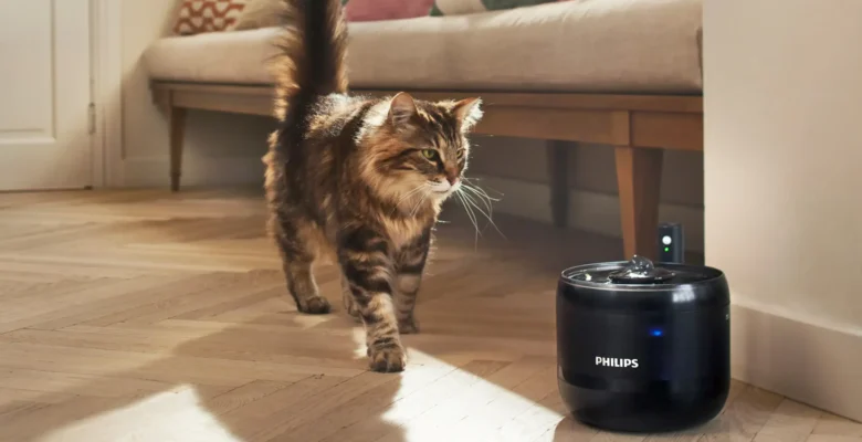 Philips Pet Serisi Alışverişleri Engelli Hayvanlar İçin Desteğe Dönüşüyor